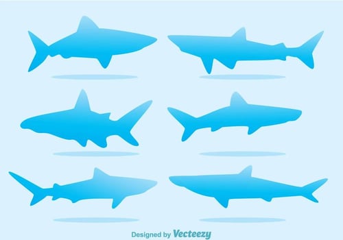 Blue Shark Silhouette Vectors