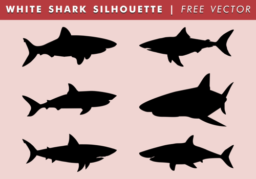 White Shark Silhouette Free Vector