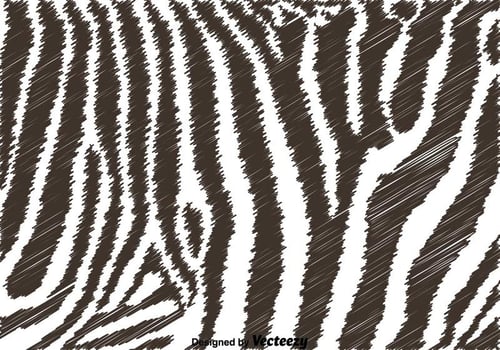 Black And White Zebra Background vector