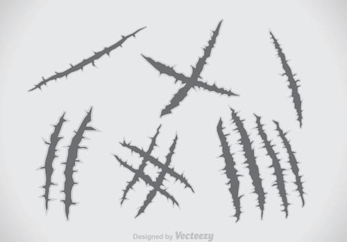 Claws In Steel Vectors