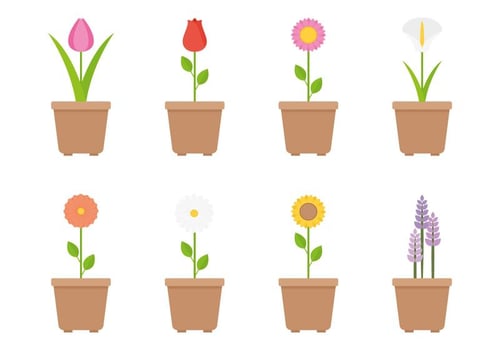 Flower Vectors