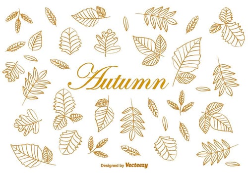 Doodle Autumn Brown Leaves Vectors