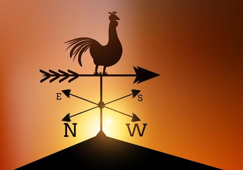 Weather Vane Vector