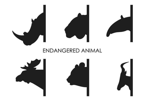 Vector Endangered Animals