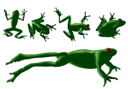Frog Vectors
