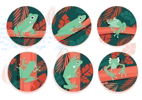 Green Tree Frog Vectors