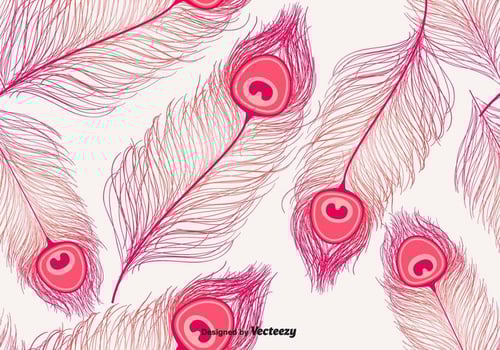 Peacock Pattern Vector