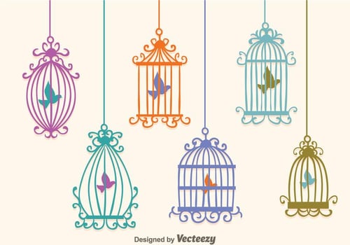 Colorful Vintage Bird Cage Vectors