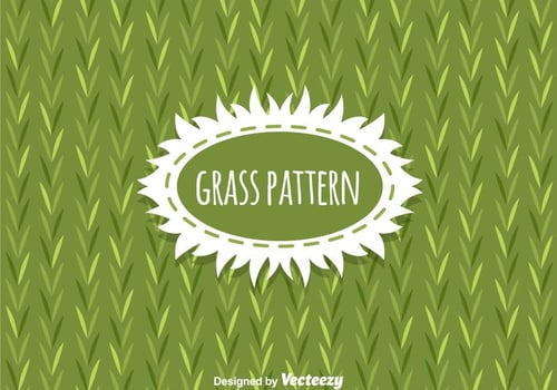 Grass Pattern Background Vector