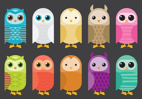 Colorful Barn Owl Vectors