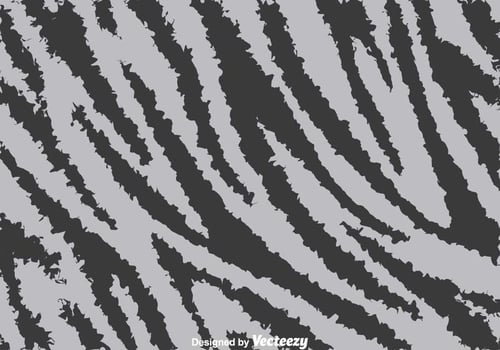 Gray Zebra Print Background vector