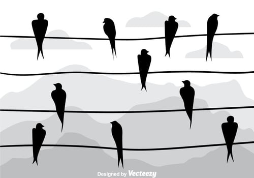 Swallow Silhouette On A Wire Vectors