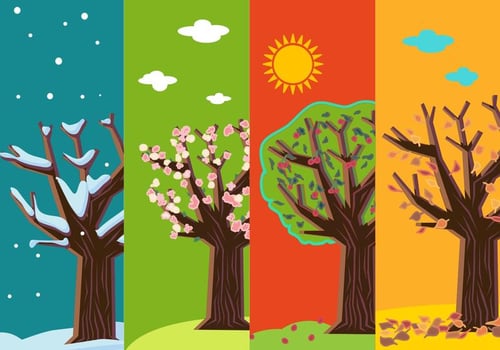 Four Seasons Abstract Trees vector