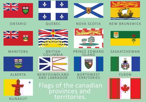 Canadian Flags vector