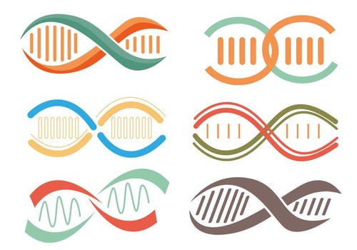 Double helix vectors