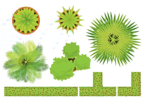 Plants Vectors