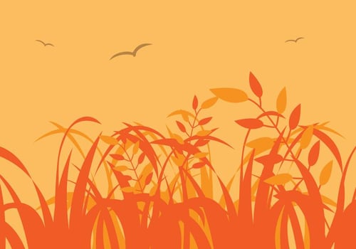 Vector Grass