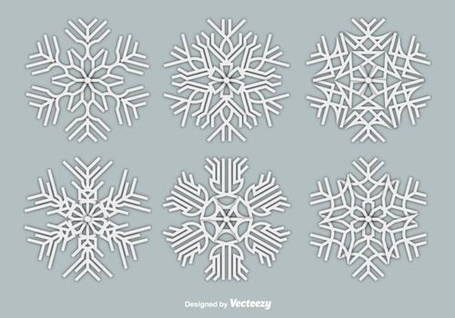 Paper white snowflakes vector