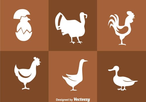 Fowl White Silhouette Icons vector