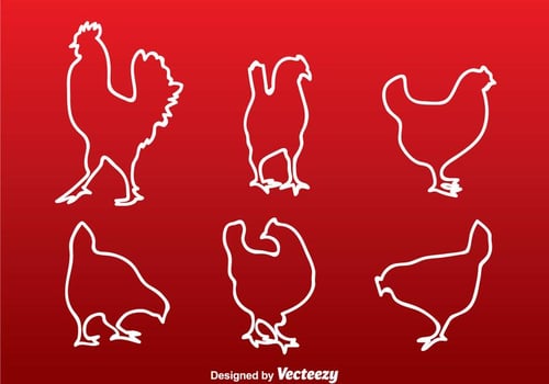 Chicken White Line Silhouette vector