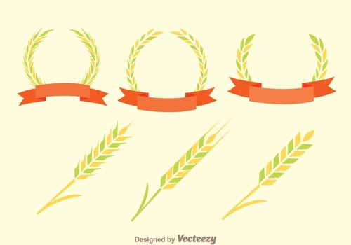 Ear Of Corn Decoration Vectors