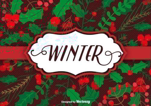 Christmas plants background and label vector