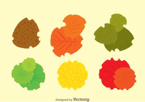 Plant Top View Set vector
