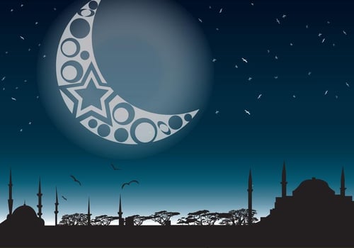 Night in the Mystic East vector