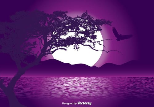 Mystical Landscape Illustration vector