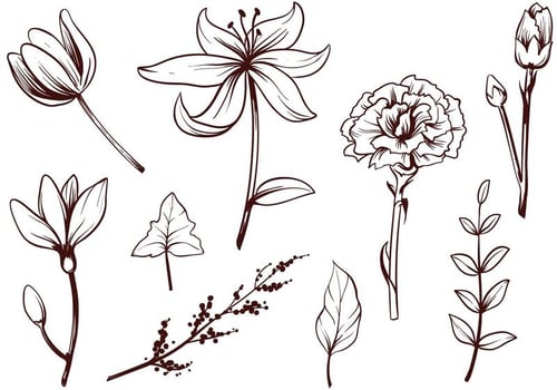 Free Flower Vectors