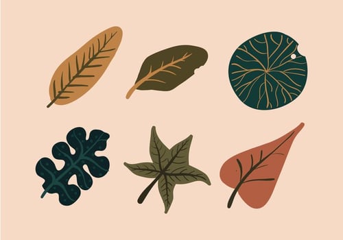 Vector Leave Illustration Set