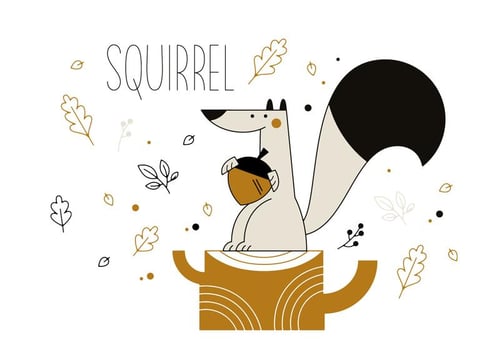 Squirrel Vector