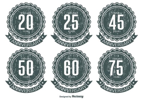 Grunge Anniversary Label Set vector