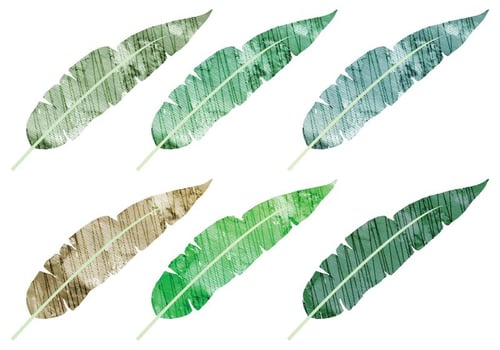 Watercolor Banana Leaves Vectors