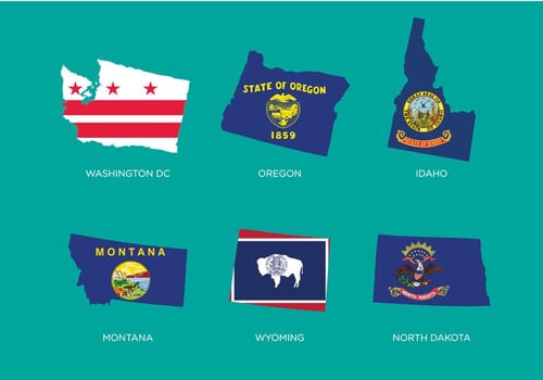 State Outlines Vector