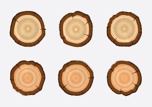 Free Tree Rings Vector Illustration
