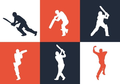 Vector Cricket 