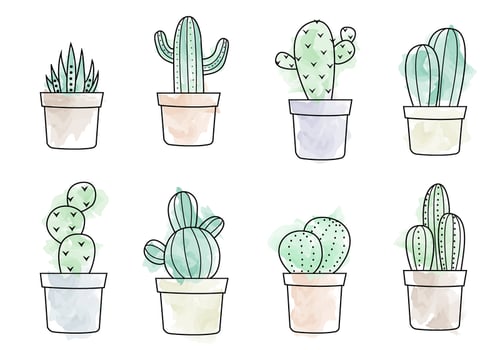 Free Watercolor Cactus Vector
