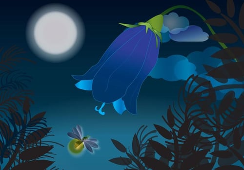 Beautiful Firefly Nights Vector