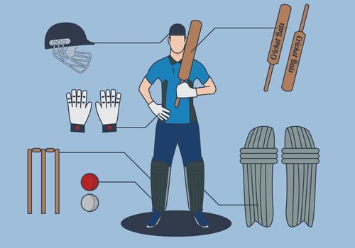 Cricket Player Vector