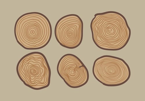 Vector Tree Ring