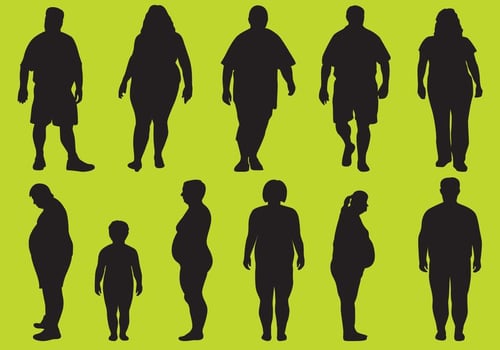 Fat Silhouettes vector