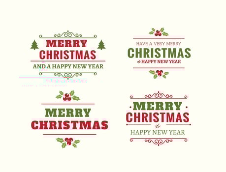 Beautiful Christmas Label Set vector