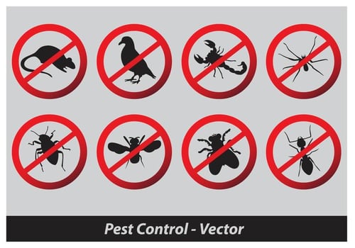 Pest Control Vector
