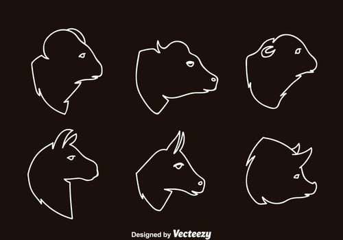 Mammals Head Outline Icons vector