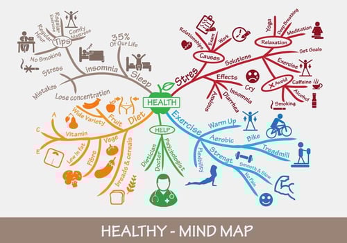 Healthy Mind Map vector