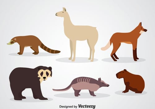 Wildlife Animal Icons vector