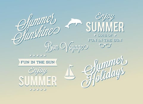 Summer Label Set vector