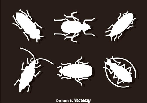 Insect Silhouette vector