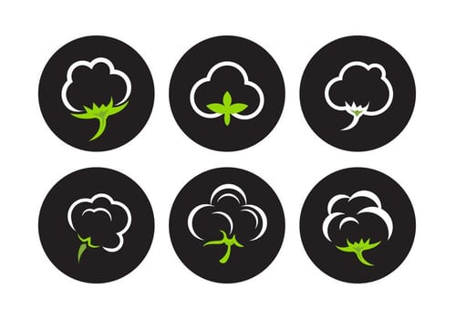 Cotton Plant Vectors